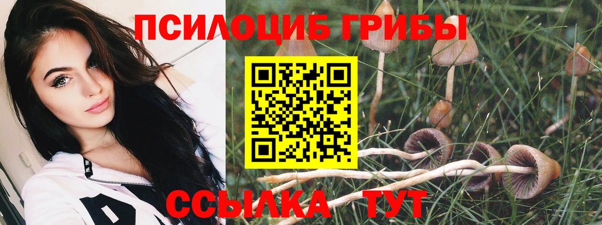 Псилоцибиновые грибы MAGIC MUSHROOMS Абинск