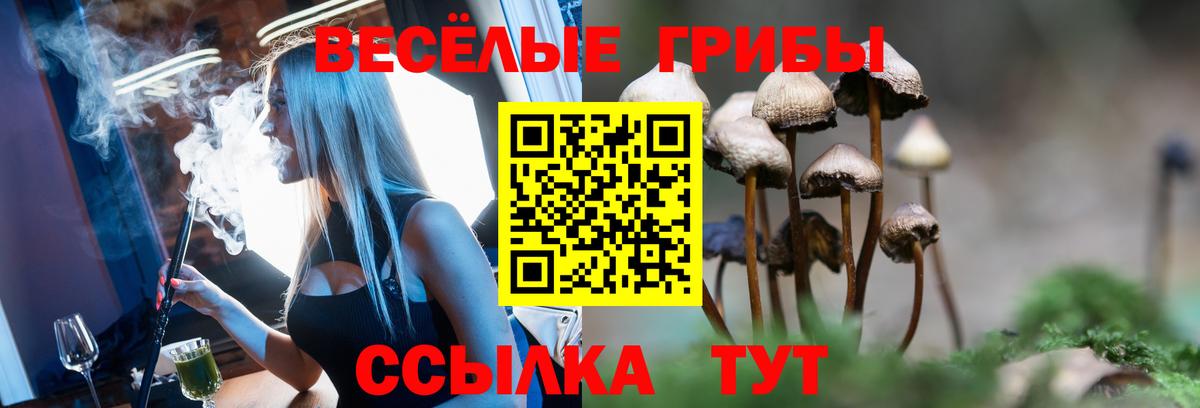 Псилоцибиновые грибы мухоморы  Псилоцибиновые грибы Magic Shrooms  Абинск  Вход с VPN 