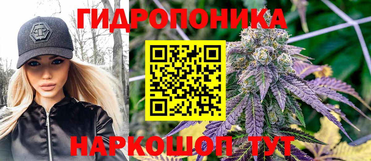 Конопля сатива Абинск
